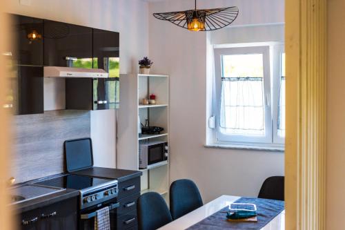 a kitchen with a stove and a table with chairs at Apartmani Leptir in Rakovica