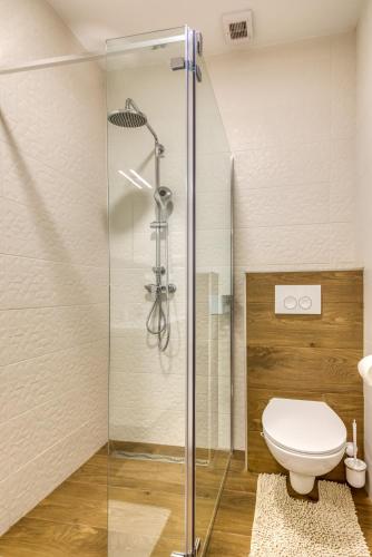 a bathroom with a toilet and a glass shower at Apartmani Leptir in Rakovica