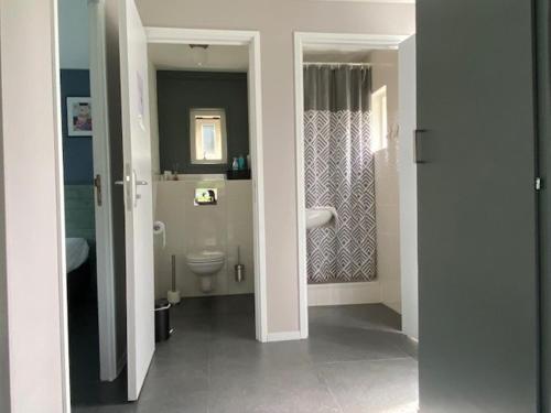 een witte badkamer met een toilet en een wastafel bij 't Schouws Uusje in Burgh Haamstede