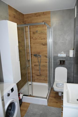 Koupelna v ubytování Apartament Rodzinny Jantar Park