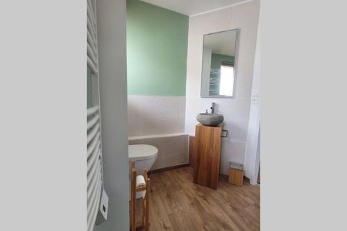 a bathroom with a sink and a mirror at Le Nid d'Opale in Berck-sur-Mer