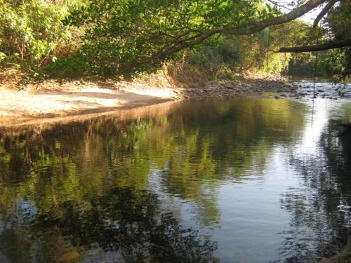 a river with trees on the side of it at Sítio Aroeira Chalés in Sao Jorge