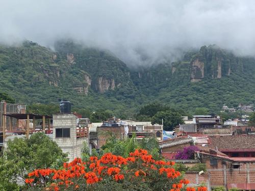 a city with flowers in front of a mountain at Flor de Cera in Tepoztlán