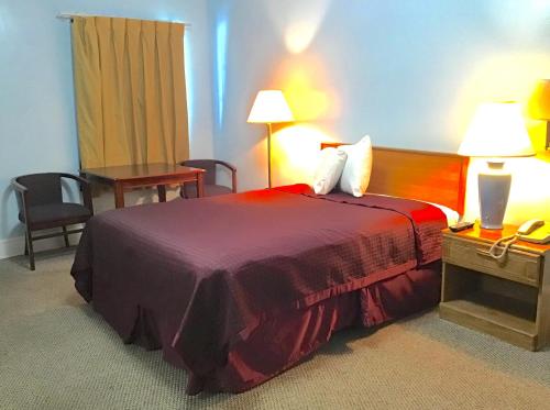 een hotelkamer met een bed en een bureau met twee lampen bij Economy Inn in Lumberton