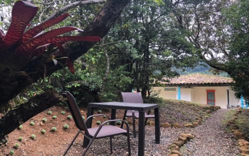 a table and two chairs sitting under a tree at Dantica Cloud Forest Lodge in San Gerardo de Dota