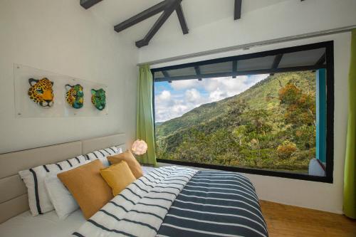 a bedroom with a window with a view of a mountain at Dantica Cloud Forest Lodge in San Gerardo de Dota