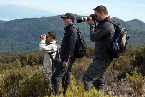 three men standing on a hill taking pictures with cameras at Dantica Cloud Forest Lodge in San Gerardo de Dota