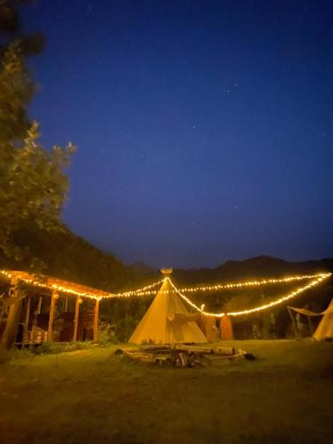 a tent with lights in a field at night at @Logovo_Sovi in Almaty