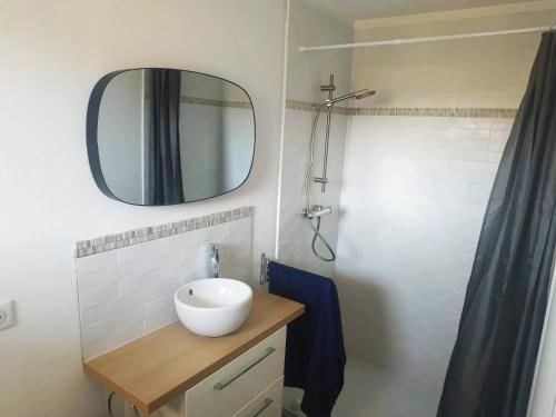 パトリモニオにあるCharmant appartement F2 neuf Patrimonioのバスルーム(洗面台、鏡付)