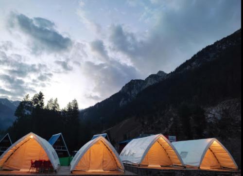 Tāl的住宿－Kumrat Glamping Resorts，一组帐篷位于一片阳光明媚的田野中