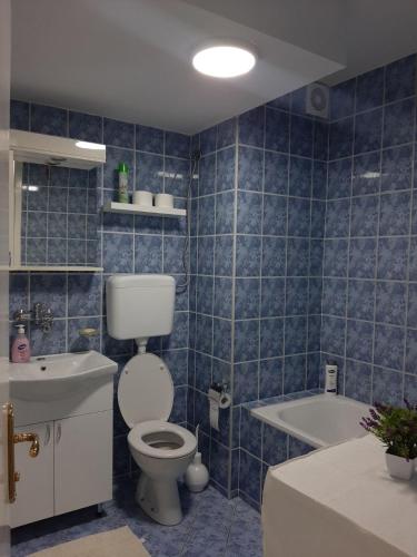 Koupelna v ubytování Apartman Sladja