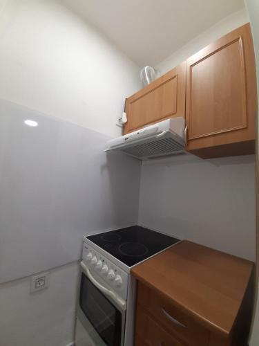 Virtuvė arba virtuvėlė apgyvendinimo įstaigoje Apartman Sladja