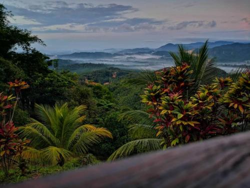 a view of the jungle from the top of a mountain at Kairos Villa in Seremban