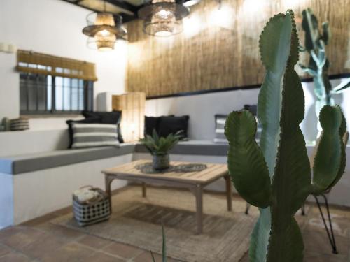 Old City Center Penthouse by Málaga Planners photo 26