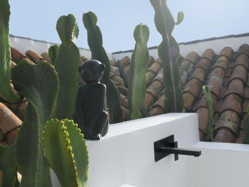 Old City Center Penthouse by Málaga Planners photo 16