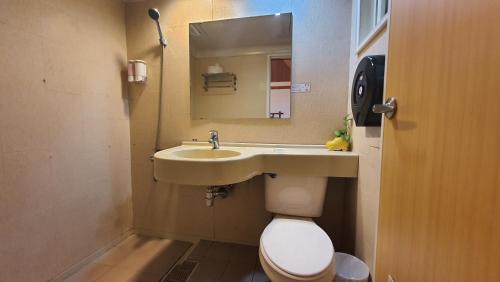 a bathroom with a sink and a toilet and a mirror at Yosemite Park B&B in Renai