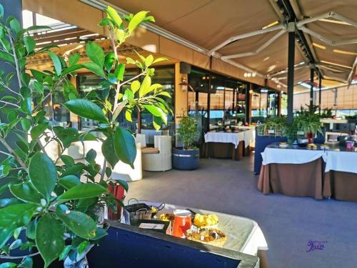 a restaurant with tables and plants in a room at Hotel Campos de Baeza in Baeza