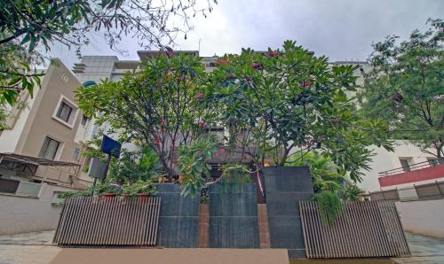 two large pots with trees in front of a building at Treebo Sumati Baner in Pune