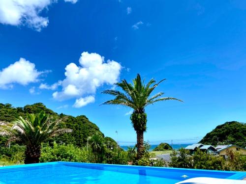 a swimming pool with a palm tree in the background at HOKULANI by the sea オーシャンビューのプール付き貸別荘 in Isumi