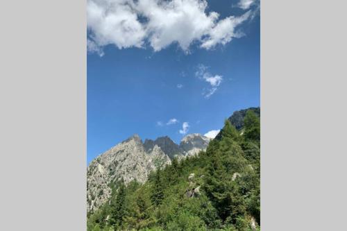 a view of a mountain with trees on it at L'Oasi nel Borgo in Niardo