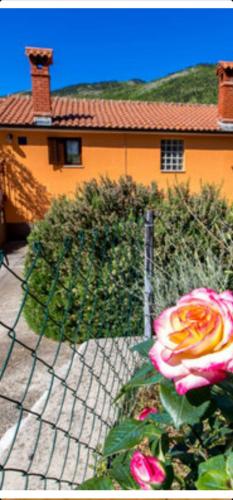 Taman di luar Diana Apartman