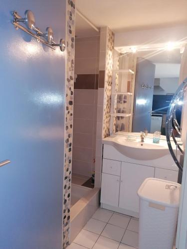 une salle de bain avec une douche, un lavabo et des toilettes dans l'établissement Maison Argeles sur mer proche plage, à Argelès-sur-Mer
