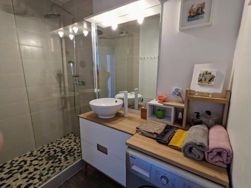 La salle de bains est pourvue d'un lavabo et d'une douche. dans l'établissement F2 garage box WiFi terasse clim Gare Fac Eco Richter, à Montpellier
