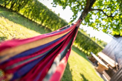 a colorful hammock is hanging in a park at Kranach 5 - Wohnen beim Wein in Gamlitz