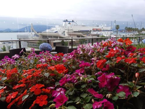 a field of flowers with a cruise ship in the background at Hotel Bahía in Santander