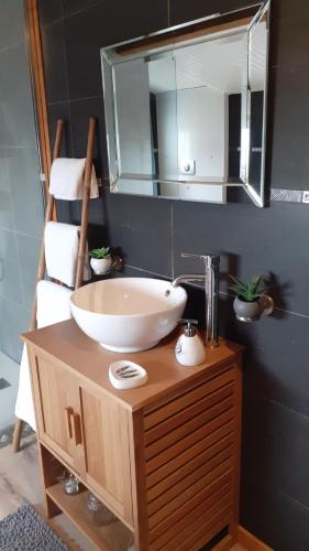 a bathroom with a sink and a mirror at au fil du temps perdu in Wismes