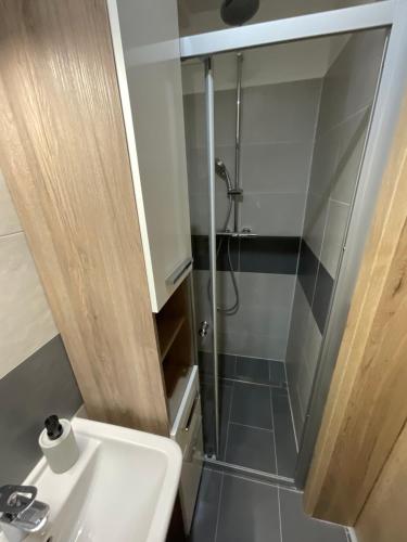 a bathroom with a shower and a sink at Útulný jednopokojový apartmán v alpském stylu na Klínovci in Loučná pod Klínovcem