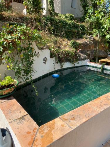 a swimming pool with a golf ball in the water at La mahasiah in Puget-sur Argens