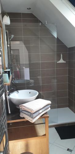 y baño con lavabo y ducha acristalada. en Au fil de la Loire en Vouvray