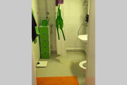 La salle de bains est pourvue de toilettes et d'un lavabo. dans l'établissement Kaunis yksiö, 600m keskustaan, ilm parkit, à Oulu