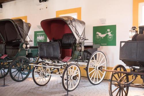 a group of horse drawn carriages on display in a museum at Vila Gale Collection Alter Real - Resort Equestre, Conference & Spa in Alter do Chão