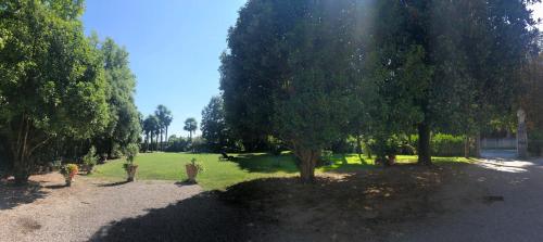 Κήπος έξω από το Ca' Settecento "Villa Cavazza Querini"