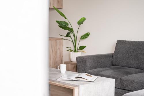a couch with a plant in it next to a coffee cup at Vík Apartments in Vík