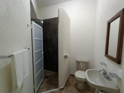 a bathroom with a toilet and a sink at D' Camino A Casa in Tequisquiapan