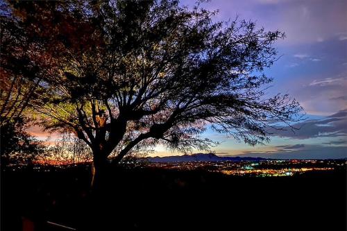 a tree sitting on top of a hill at night at Oro Valley Getaway with Patio, BBQ and Mountain Views! in Oro Valley