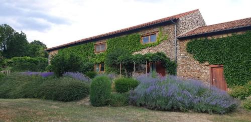Saint-Austremoine的住宿－L'Estivante，一座常春藤覆盖的建筑,前面有紫色的花朵