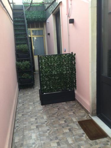 a hallway with a green hedge next to a door at B&B Affittacamere Trigona in Misterbianco