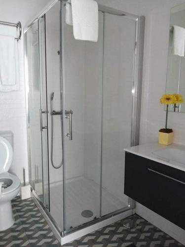 a bathroom with a shower and a toilet at Casa das Histórias in Beja