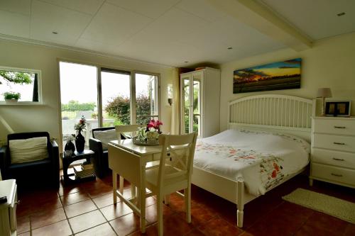 1 dormitorio con cama, escritorio y mesa en De Veldeling en Hollandscheveld