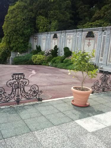 a plant in a pot sitting next to two benches at Residenza del Pascià - Appartamento Camphora in Oggebbio