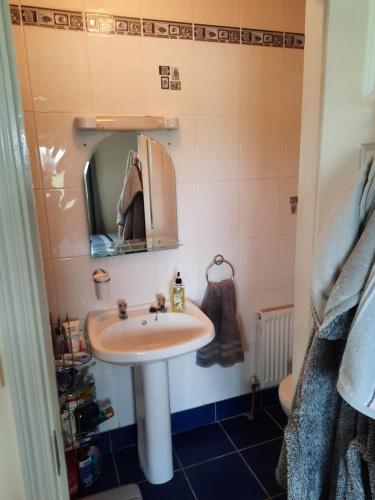 un baño con lavabo y espejo en Aine's, en Waterford