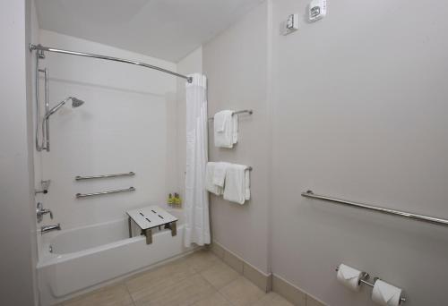 a bathroom with a shower and a tub and a sink at Holiday Inn Express & Suites - Orlando - Southeast, an IHG Hotel in Orlando