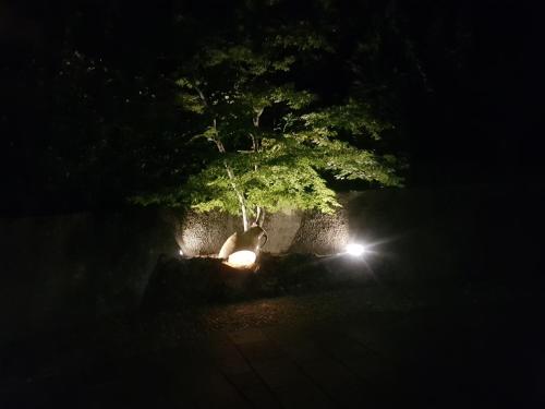 a tree at night with lights under it at B&B Margot in Albavilla