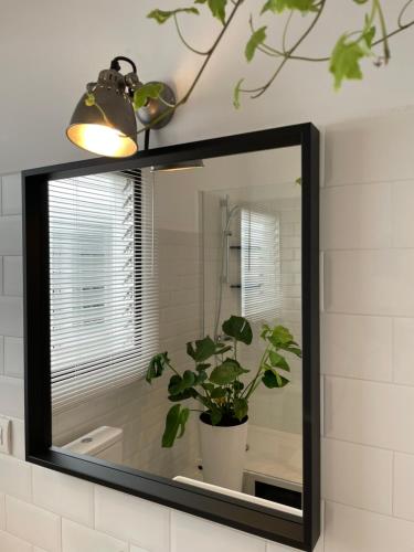 einen Spiegel im Bad mit Topfpflanze in der Unterkunft Charming appartement in the heart of Barcelona in Barcelona
