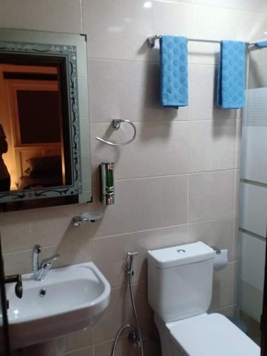 a bathroom with a toilet and a sink and a mirror at Petra Desert Dream Hotel in Wadi Musa