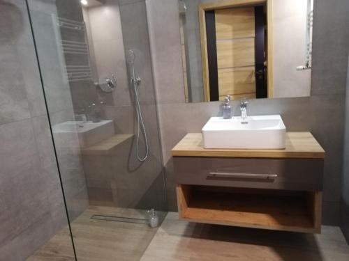 a bathroom with a sink and a shower at Czerwona Cegła Apartament in Zielona Góra